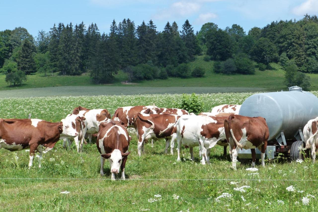 La Grange De Haute-Joux Les Fourgs Eksteriør bilde